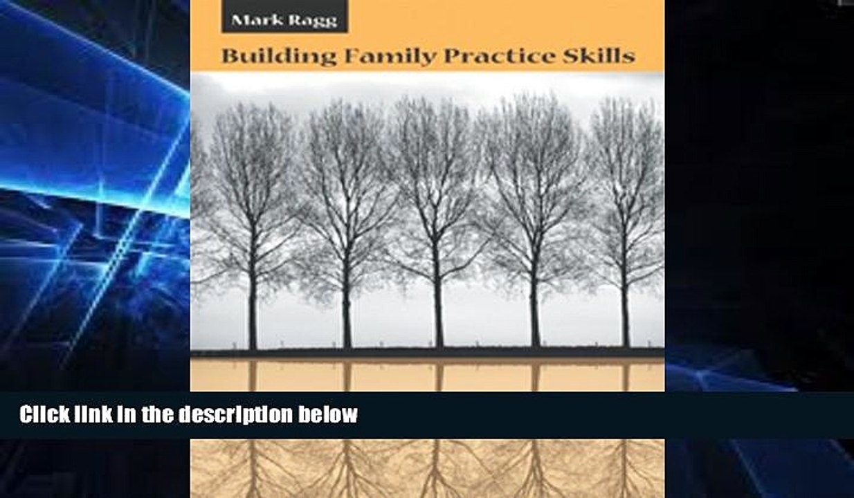 Big Deals  Building Family Practice Skills: Methods, Strategies, and Tools (Marital, Couple,