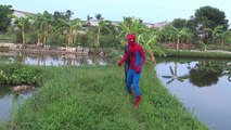 Spiderman vs Catwomen rescue dogs drowning Frozen Elsa Captain Fun Superheroes joker pranks-BMw-bEcJdbU part 1