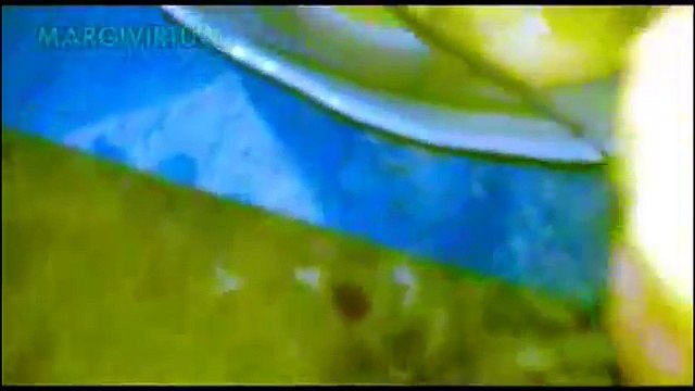 Cara Membuat Kue Nangka Goreng Resep Masakan Indonesia