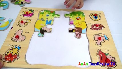 Đồ chơi ghép hình - Bé chơi ghép hình