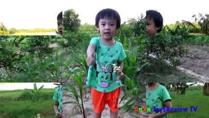 Cô và mẹ - Bé Tân An - An An tập hát để tặng cô giáo, She and her mother - Baby Tan An - An An episode to donate singing teacher