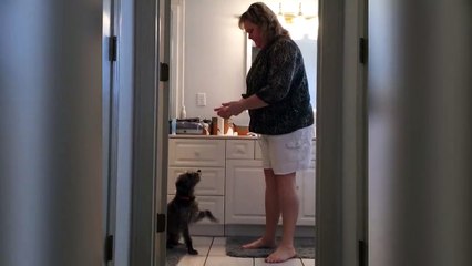 Cute Dog And Woman Get Their Dance On