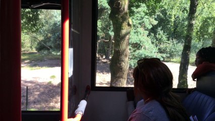 Safaripark Beekse Bergen (2)