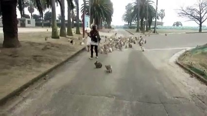 мы и ты одной крови