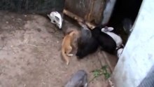 хочу все знать