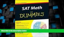 Big Deals  SAT Math For Dummies  Best Seller Books Most Wanted