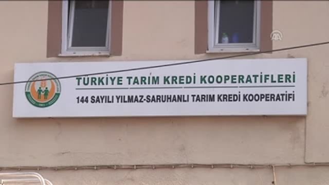 Üzüm Fiyatlarındaki Artış Üreticiyi Sevindirdi