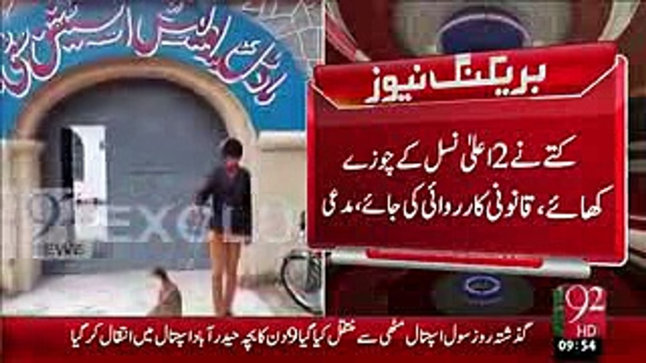 Funny Breaking News