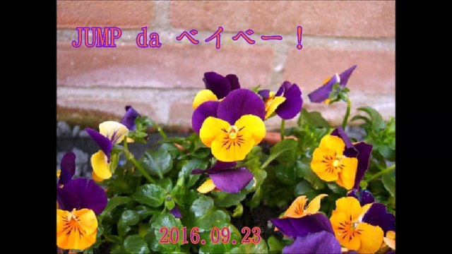 JUMP da ベイベー！#20160923
