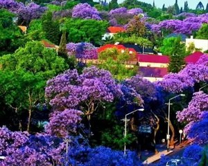 Keman Enstrumental - Seni düşündüm yine