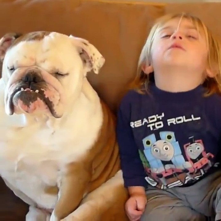 Boy and Dog Sleeping Together