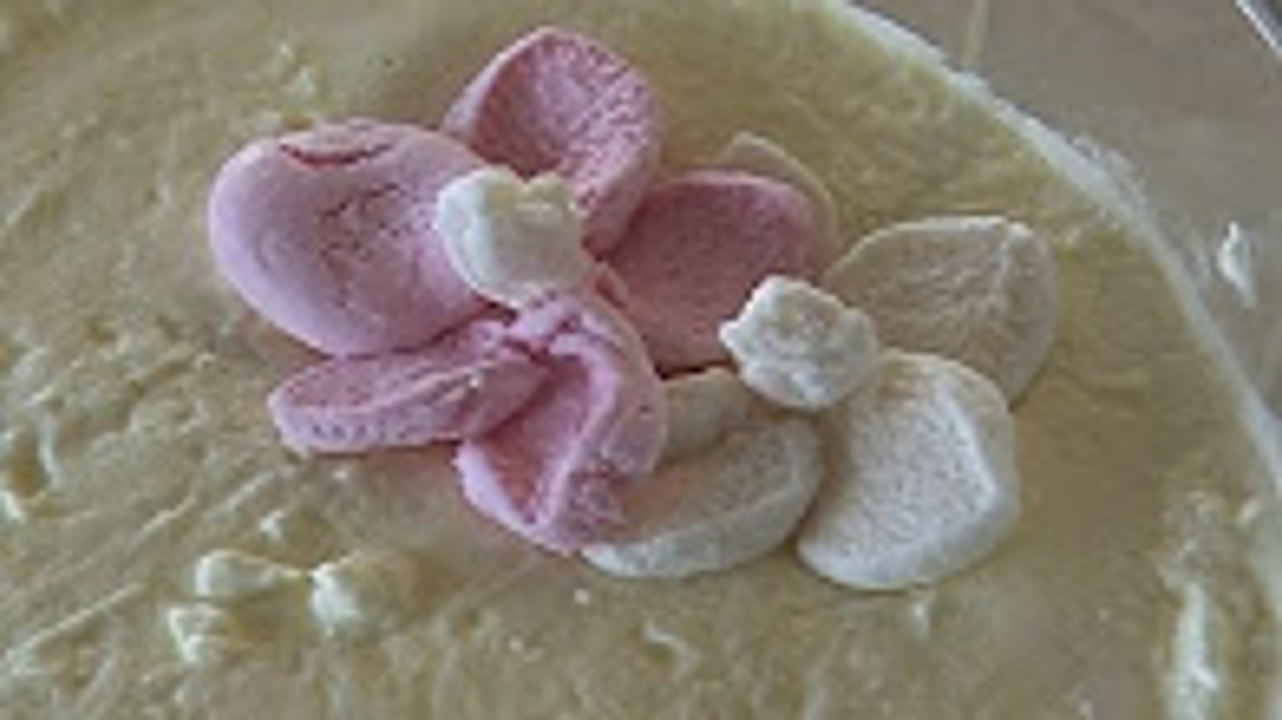 CUSTARD & COOKIES DELIGHT