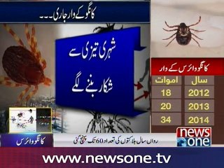 Congo virus claims another life, death toll rises to 60