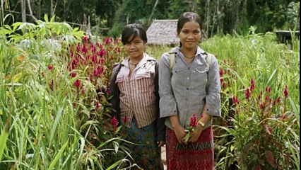 Intresting story of that family