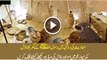 Replica House of our beloved Prophet Muhammad (S A W) - Video Dailymotion