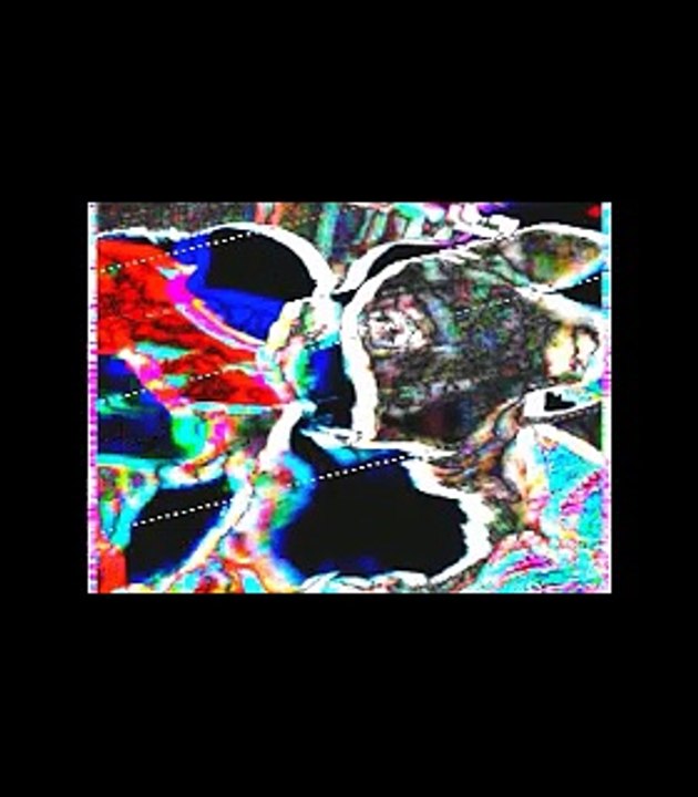 Ono-'No,No,No'-Vs-Seal-Fly Like An Eagle