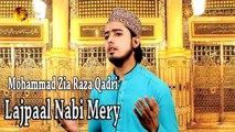 Mohammad Zia Raza Qadri - Lajpaal Nabi Mery