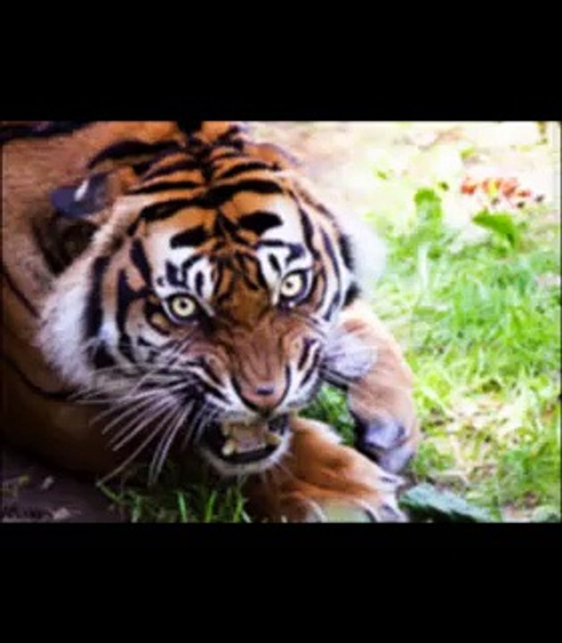 The_Prodigy_One_Love-Vs-Usura_OpenYourMind