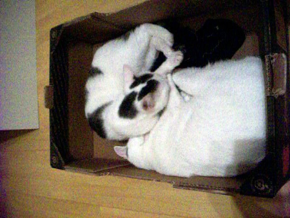 Harvey und Vinzent am 20.09.2016