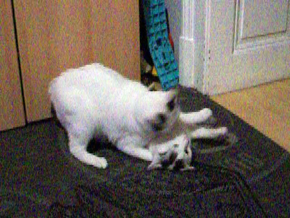 Harvey und Vinzent am 23.09.2016