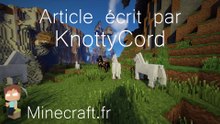 KnottyCord Article
