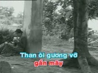 Cay dang bo moi - My huyen