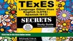 Big Deals  TExES Languages Other Than English (LOTE) - Spanish (613) Secrets Study Guide: TExES
