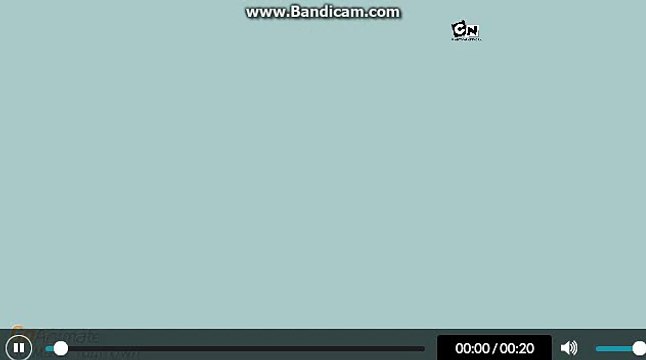 Cartoon Network Productions and Boomerang (2008-2010)