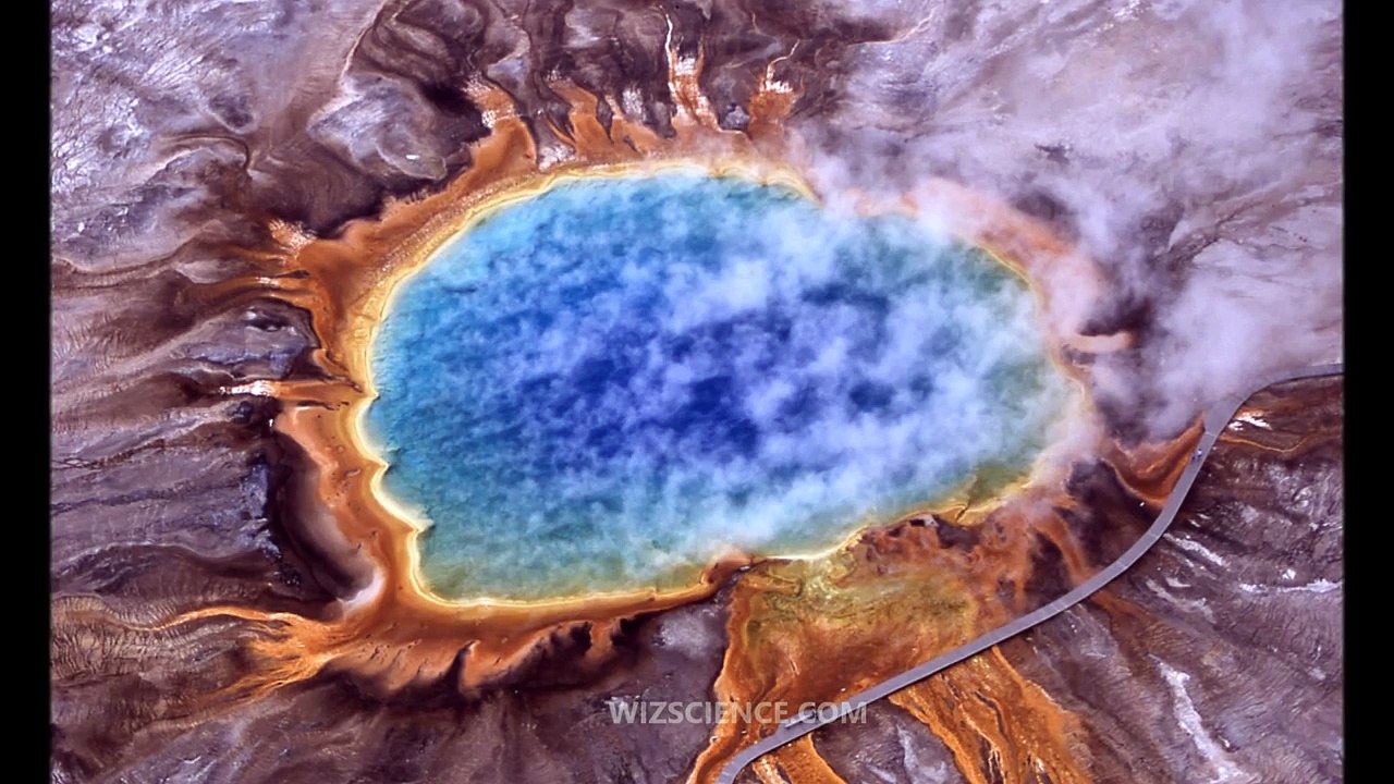 Extremophile - Video Learning - WizScience.com