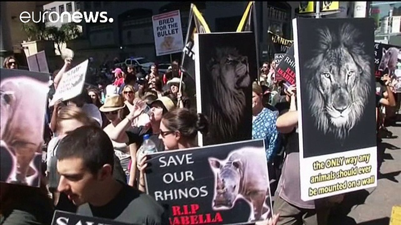 Artenschutzkonferenz in Südafrika soll Schutz vieler Tiere verbessern