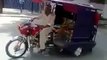 Very Amazing And Funny Pakistani Rikshaw Bike Stunt On Road Official in HD very funny videos