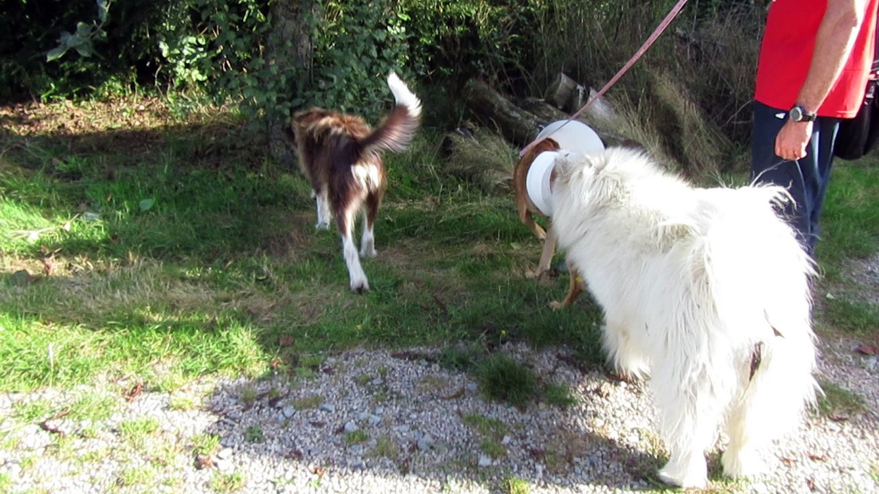 Vanille : l'arrivée - A la descente de voiture