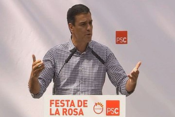 Sánchez llama a Podemos y C's al cambio