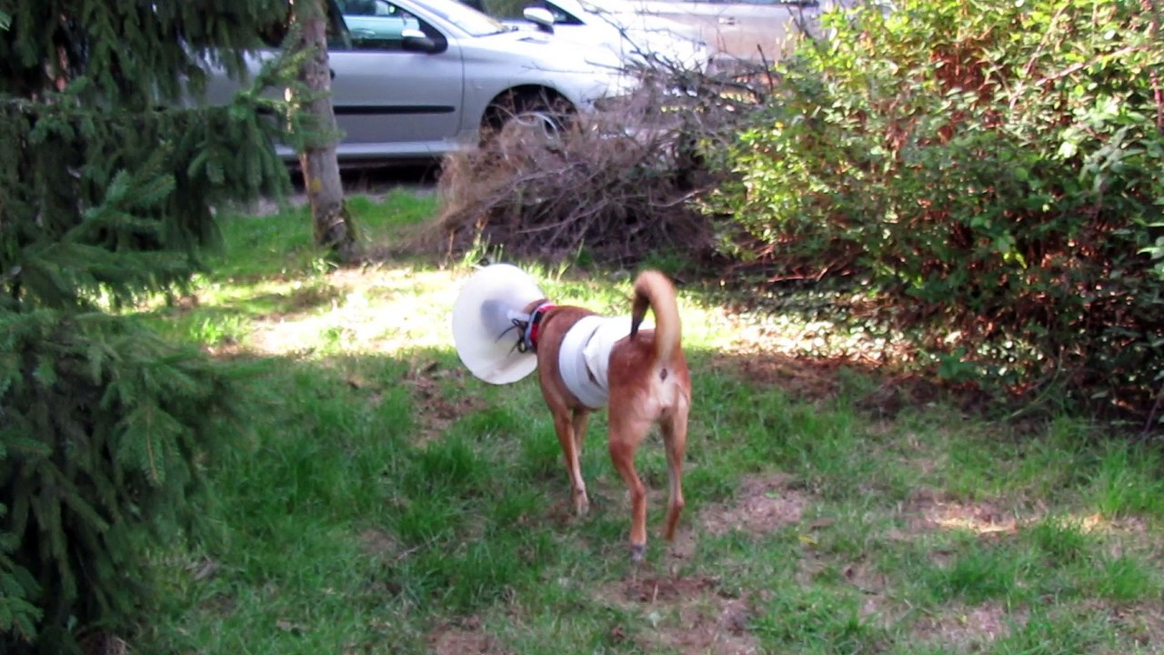 Exploration et découverte