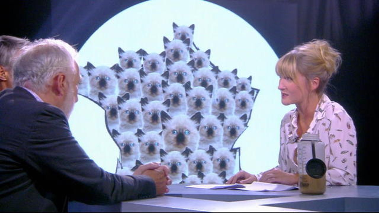 Élodie Emery : les chats - L'Émission d'Antoine du 24/09 - CANAL+