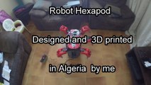 Robot hexapod