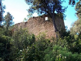 When Love Comes Tumbling Down