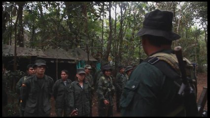 "Por tiempo limitado" Colombia debe ayudar a sobrevivir a desmovilizados FARC