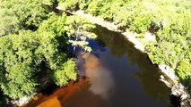 A beautiful river tract secluded along the Withlacoochee River in NE Madison County