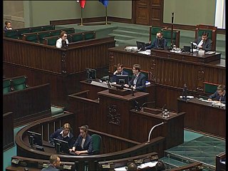Poseł Katarzyna Lubnauer - Wystąpienie z dnia 22 wrze�nia 2016 roku.