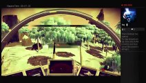 No mans sky random exploring (3)