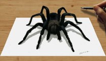 Speed Drawing of 3D Black Spider How to Draw Time Lapse Art Video Colored Pencil Illustration Artwork Draw Realism