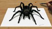 Speed Drawing of 3D Black Spider How to Draw Time Lapse Art Video Colored Pencil Illustration Artwork Draw Realism