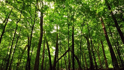 Marre de payer un loyer, il aménage un bus et fait un road trip de 10 000 km