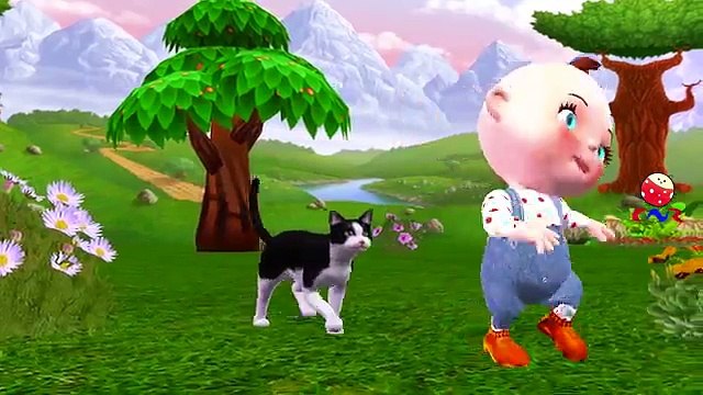Little Baby Funny Cats Videos Compilation ¦ Five Little Babies Three Little Kittens Nursery Rhymes