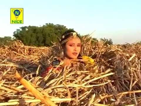 परदेसी बन्दों याद करे - तोरण बेगा आवजो ( राजस्थानी )